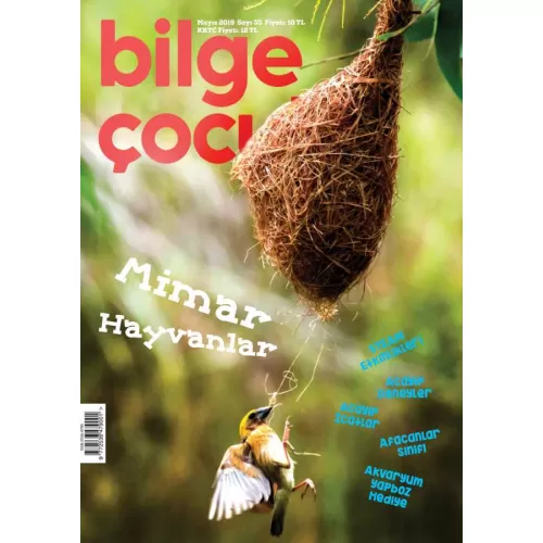 Bilge Çocuk Dergisi Sayı: 33 Mayıs 2019 Mimar Hayvanlar (Oyun Hediyeli)