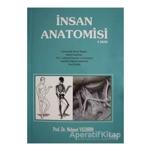 Photo of İnsan Anatomisi Mehmet Yıldırım Nobel Tıp Kitabevi Pdf indir