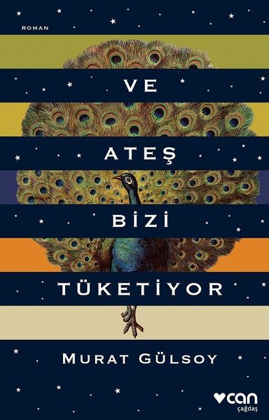 Photo of Ve Ateş Bizi Tüketiyor – Murat Gülsoy PDF indir