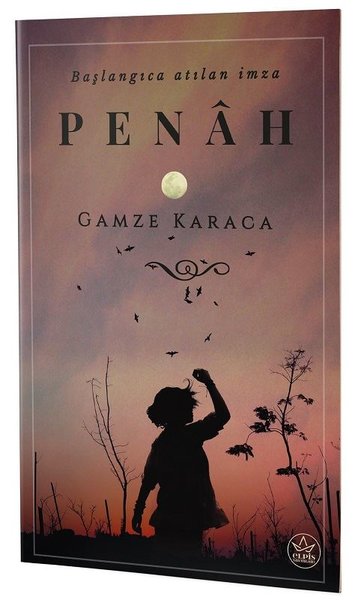 Photo of Penah – Gamze Karaca PDF indir