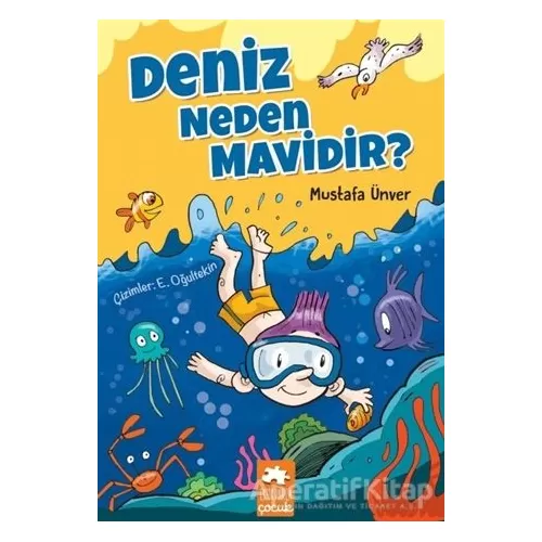 Photo of Deniz Neden Mavidir? Mustafa Ünver Pdf indir