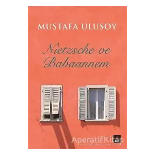 Nietzsche ve Babaannem - Mustafa Ulusoy - Kapı Yayınları