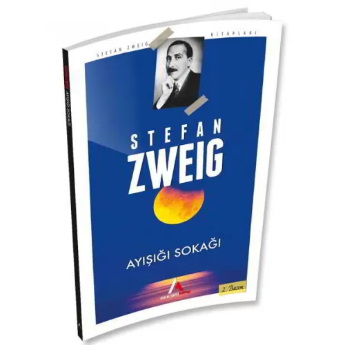 Photo of Ayışığı Sokağı Stefan Zweig Pdf indir