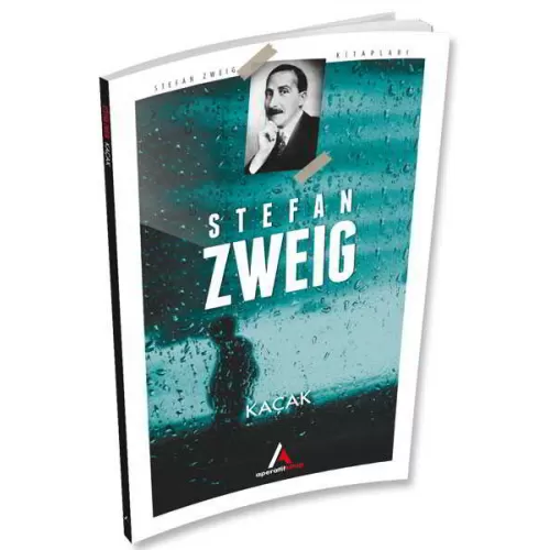 Photo of Kaçak Stefan Zweig Pdf indir