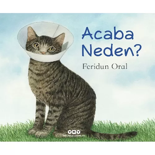 Photo of Acaba Neden? Feridun Oral Pdf indir