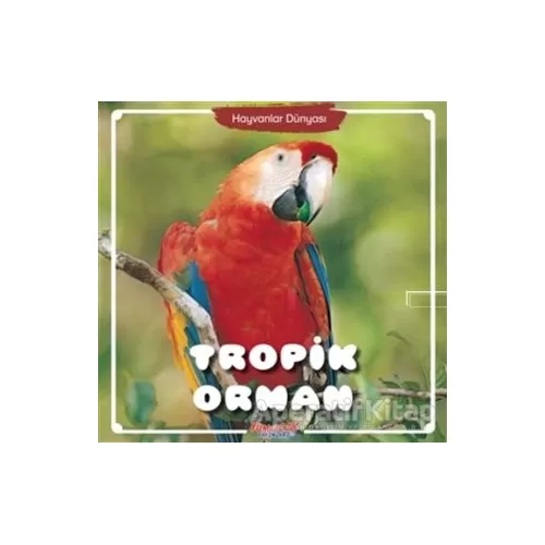 Photo of Tropik Orman Hayvanlar Dünyası Kolektif Yumurcak Yayınları Pdf indir