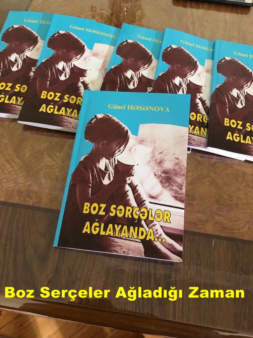 Photo of Boz Serçeler Ağladığı Zaman – Günel Hasanova PDF indir