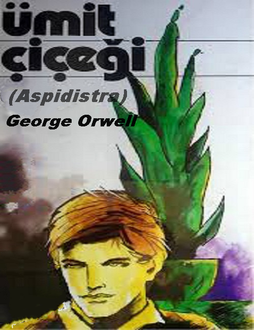 Ümit Çiçeği (Aspidistra) – George Orwell