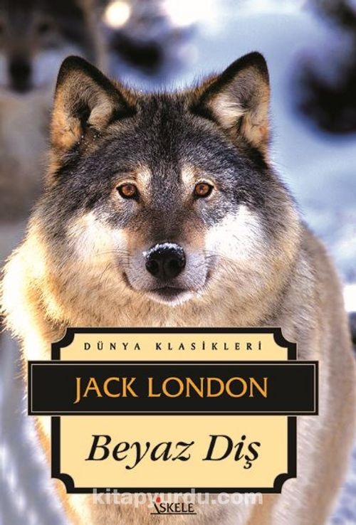Photo of Beyaz Diş – Jack London PDF indir