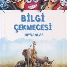 Photo of Bilgi Çekmecesi – Hayvanlar Pdf indir