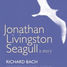 Photo of Jonathan Livingston Seagull Pdf indir