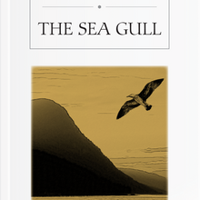 Photo of The Sea Gull Pdf indir