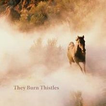 Photo of They Burn Thistles Pdf indir