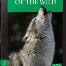 Photo of The Call Of The Wild / Stage 3 – A2 Pdf indir