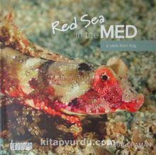 Photo of Red Sea in the Med Pdf indir