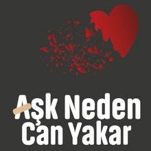 Photo of Aşk Neden Can Yakar Pdf indir