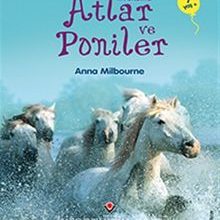 Photo of Atlar ve Poniler / İlk Okuma Pdf indir