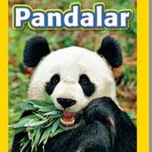 Photo of National Geographic Kids -Pandalar Pdf indir