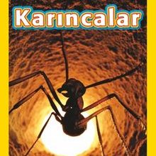 Photo of National Geographic Kids -Karıncalar Pdf indir