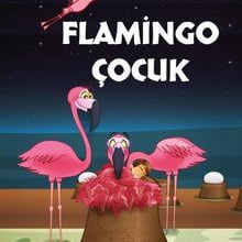 Photo of Flamingo Çocuk Pdf indir