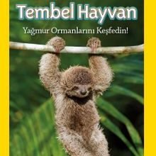 Photo of National Geographic Kids -Tembel Hayvan amp; Yağmur Ormanlarını Keşfedin! Pdf indir