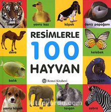 Resimlerle 100 Hayvan (Küçük Boy)