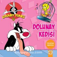 Photo of Dolunay Kedisi Pdf indir