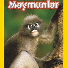 Photo of National Geographic Kids -Maymunlar Pdf indir