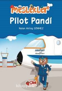 Pilot Pandi / Meslekler
