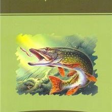 Photo of A Chapter Of Fish / Stage 6 Pdf indir
