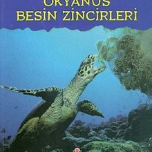 Photo of Okyanus Besin Zincirleri / Besin Zincirlerini Korumak Pdf indir